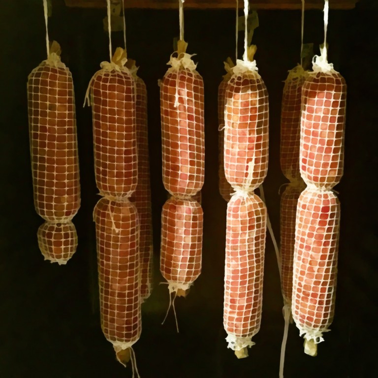 Salami Basics